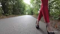Horny red on the highway
