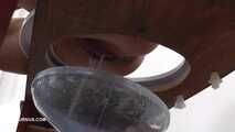 Nikki and Nesty pee