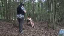 Ayu tree tied 1/2
