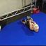 Lena King challenged by Delona