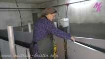 Clip #008 Feeding my pigs—the mixed group #humanpig in the real #barn