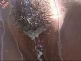 MILK SHOWER
