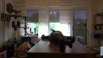 Gabrielle and Marenka - The contract part 3 of 9
