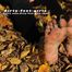 Nica im Herbstlaub
