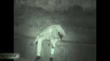 HIDDEN CAM AND FUCKING COUPLES