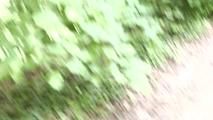 Public Spermaschlucken an der Strasse