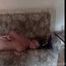 Hogtied-Bound for Justine!