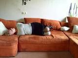 Hogtied on the couch