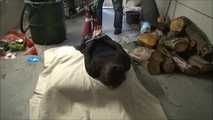 Paulette and Romy - The supposed gardener 2 part 5 of 8