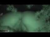 HIDDEN CAM AND FUCKING COUPLES
