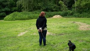 Verschiedene Aussenaufnahmen