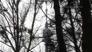 033016 Rene Takes A Pee On A Cold Misty Day