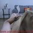 second cam of wrestling and pee