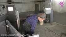Clip #008 Feeding my pigs—the mixed group #humanpig in the real #barn