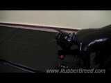 Bad Puppy Training