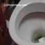 020165 Damp Kathy Undresses And Pees In Her Bathroom