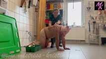 Clip #001 Veterinarian in green - Live inspection and anal examination