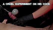 Another Cruel Experiment on His Cock