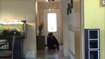 Susan - Tickling Maid Training Part 8 of 8 
