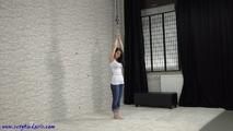 Suspensions with Vanessa
