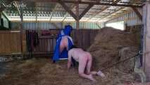 Stable slaughter in op gown ( role play )