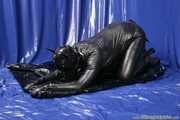 Rubber dog days