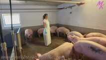 Clip #023 Which pig should it be? #Stall #Apron #Butcher