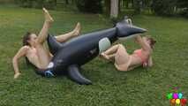 1329 The forgotten whale