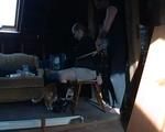 Classic bondage with ginger