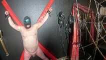 How resilient are your nipples, slave?