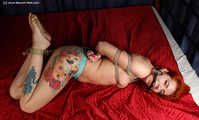 Nicole hogtied on bed