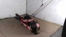 Kyra get photographed in a hogtie