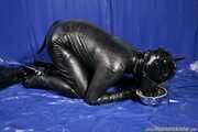 Rubber dog days