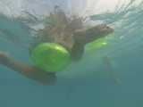 299 Swimming with the turtles! 