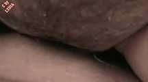 COLOGNE HORNINESS
