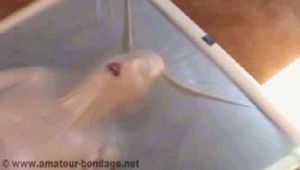 AB-107A  Abducted Girls (3)