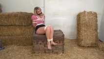Barn-Bound Babe - Laura Bentley