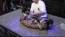 Incredible Hogtie