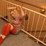 Cindy - Tied at Home 2
