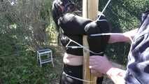 Roxy Zip Tied to the Post