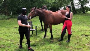 Wenn das Pferd nass ist, ist der Sklave der Gaul 