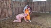Das schmutzige Schwein wird geschlachtet ( Rollenspiel )