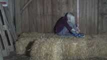 Elysa im hogtie 2/2