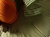 Sneakertease - Compendium Video 1