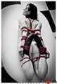 Hogtied on the kitchen table, part 2