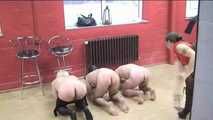 Der Kuss der Domina