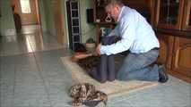 Paulette and Romy - The supposed gardener 1 part 5 of 6