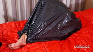 Elsa - Ball cuffed and packed into trashbag