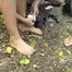 ab-137 Barefoot in the forest