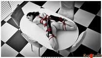 Hogtied on the kitchen table, part 2